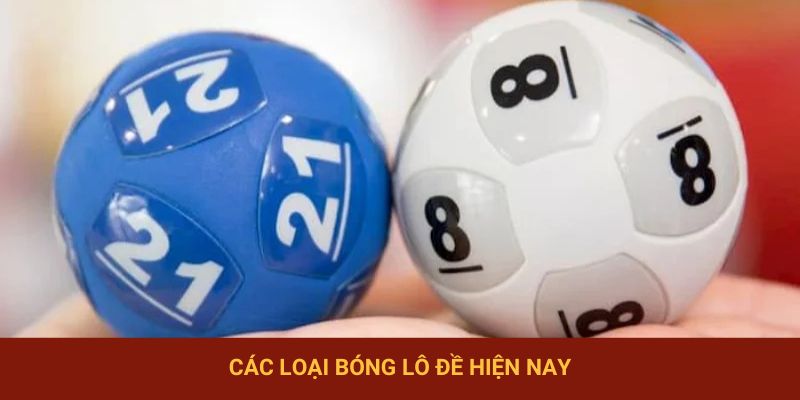 Các loại bóng lô đề người chơi cần biết