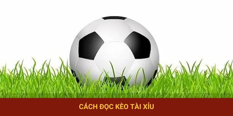 Cách đọc kèo tài xỉu cần biết