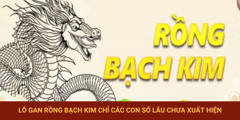 Lô gan rồng bạch kim chỉ các con số hiếm xuất hiện