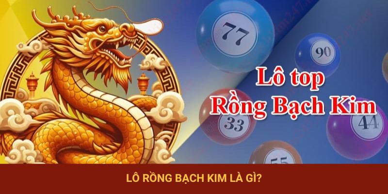 Khái niệm lô rồng bạch kim là gì?