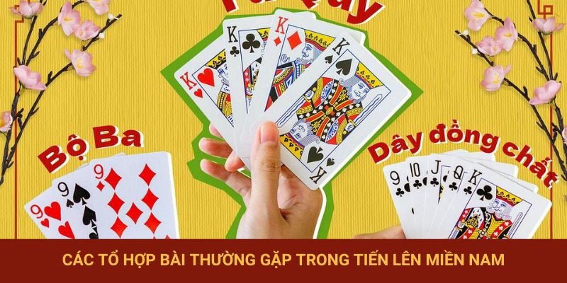 Một số thuật ngữ tổ hợp bài thường gặp khi chơi